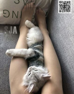 欧美动态图及出处_BD免费观看视频